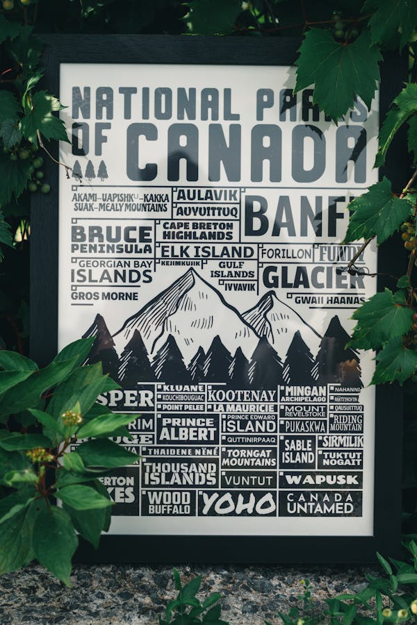 Banff Wildlife and Nature