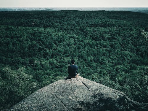 A Man Sitting on Rock Enjoying the View of a Dense Forest