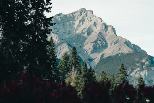 Majestic mountain peak surrounded by lush evergreen forest in the Canadian Rockies, Alberta, Canada.