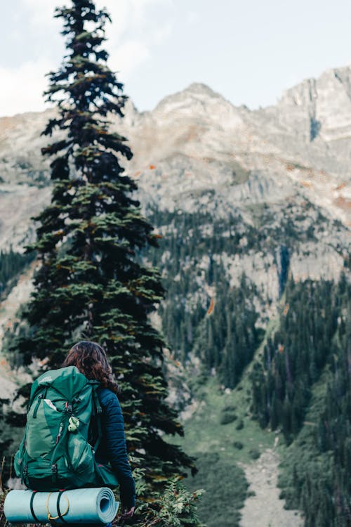 A Backpacker in Green Jacket Standing Near Green Pine Tree 