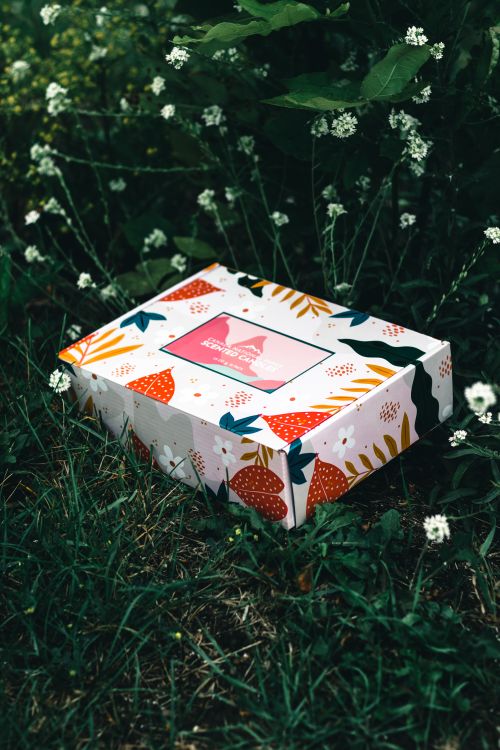Free A vibrant gift box with floral pattern lying on green grass and wildflowers. Stock Photo