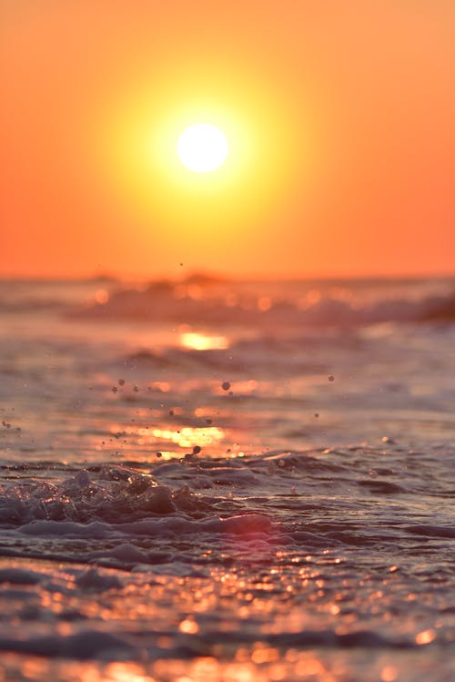 Photo of a Sea at Sunset 