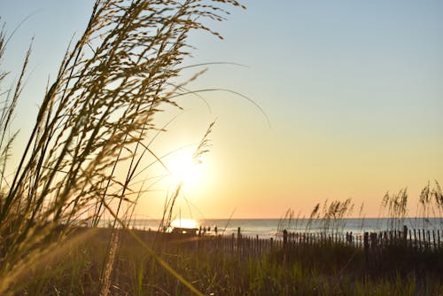 Free stock photo of beach, beach sunrise