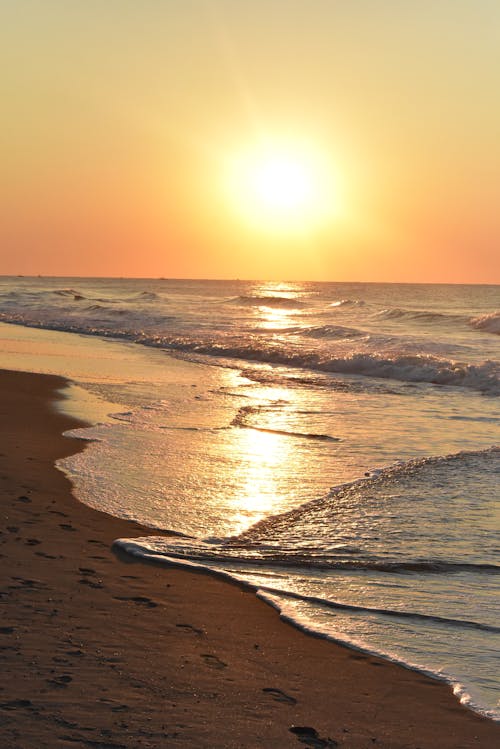 Free stock photo of beach, early sunrise, ocean