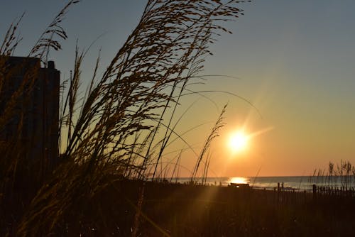 Free stock photo of beach, early sunrise, sunrise