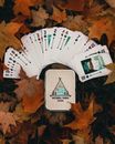 White and Green Card on Dried Leaves