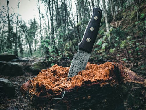 A Big Sharp Knife Buried on a Wooden Log