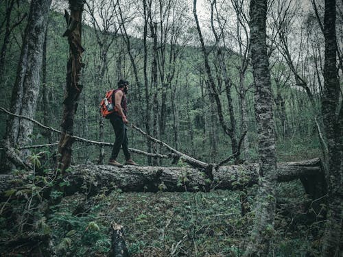 A Backpacker Walking on a Tree Trunk