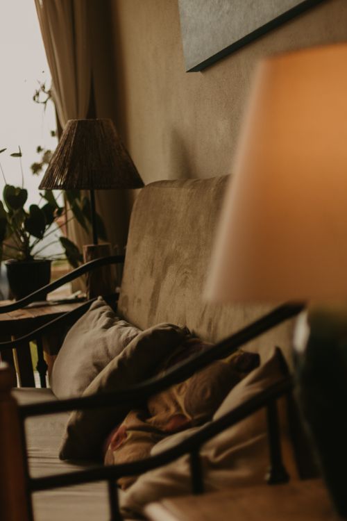 Free A warm, inviting couch with pillows in a softly lit living room, perfect for relaxation. Stock Photo