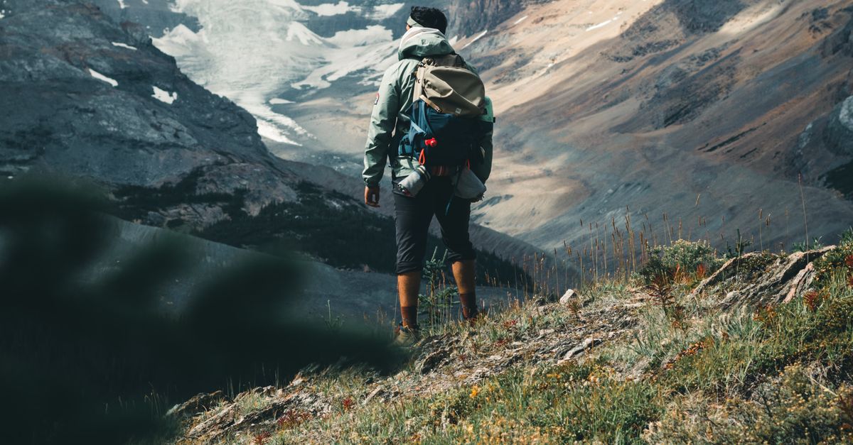 Back View Shot of a Backpacker Standing on a Grass Field · Free Stock Photo