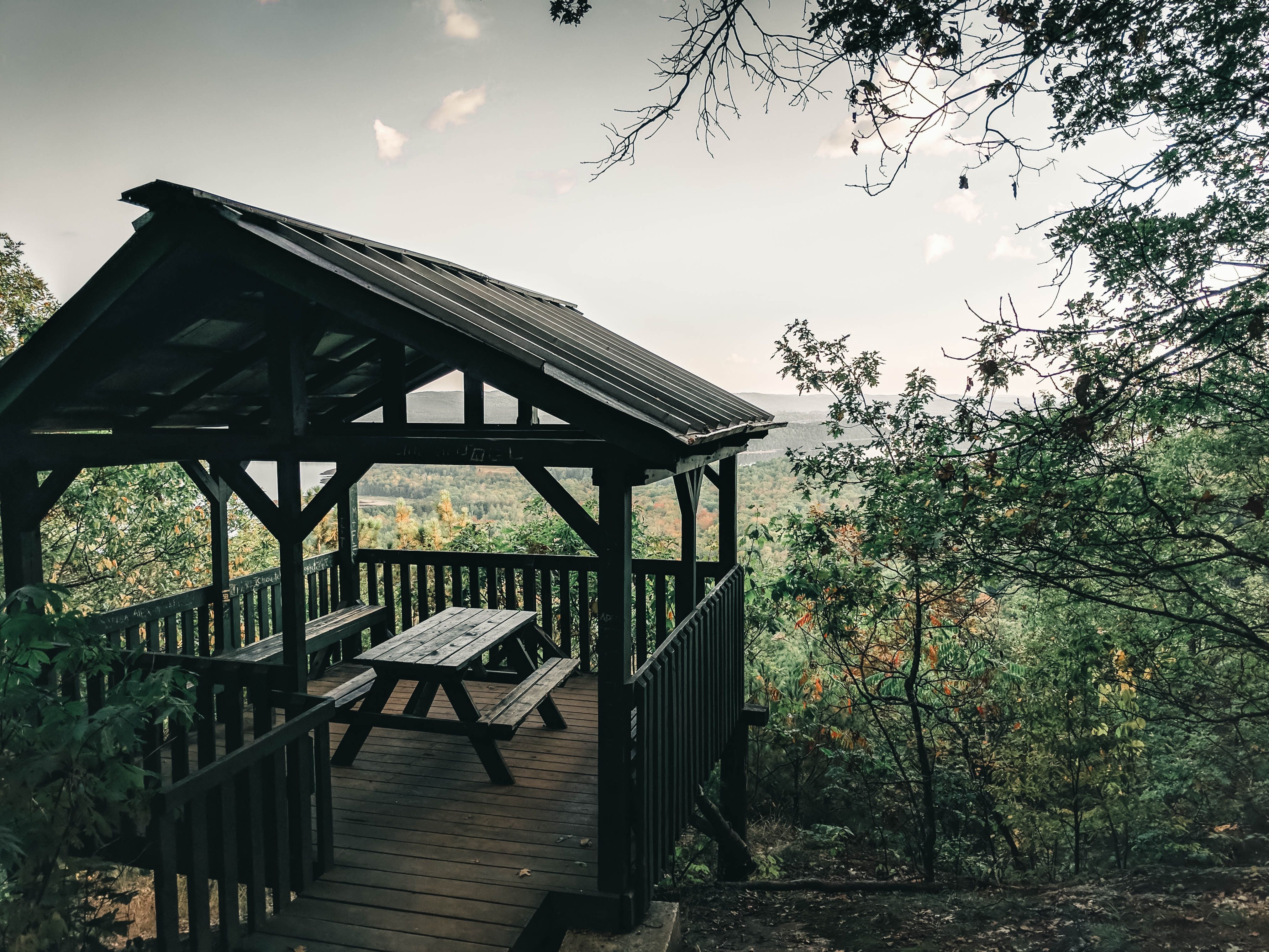 Scenic forest viewing platform in Northern Michigan, a common setting for outdoor events and ceremonies
