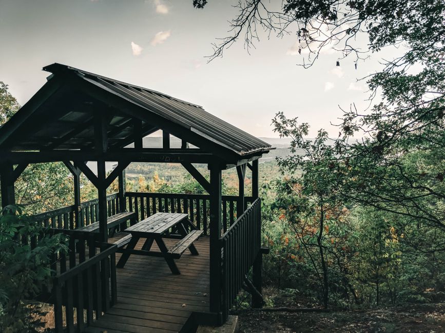 Scenic forest viewing platform in Northern Michigan, a common setting for outdoor events and ceremonies