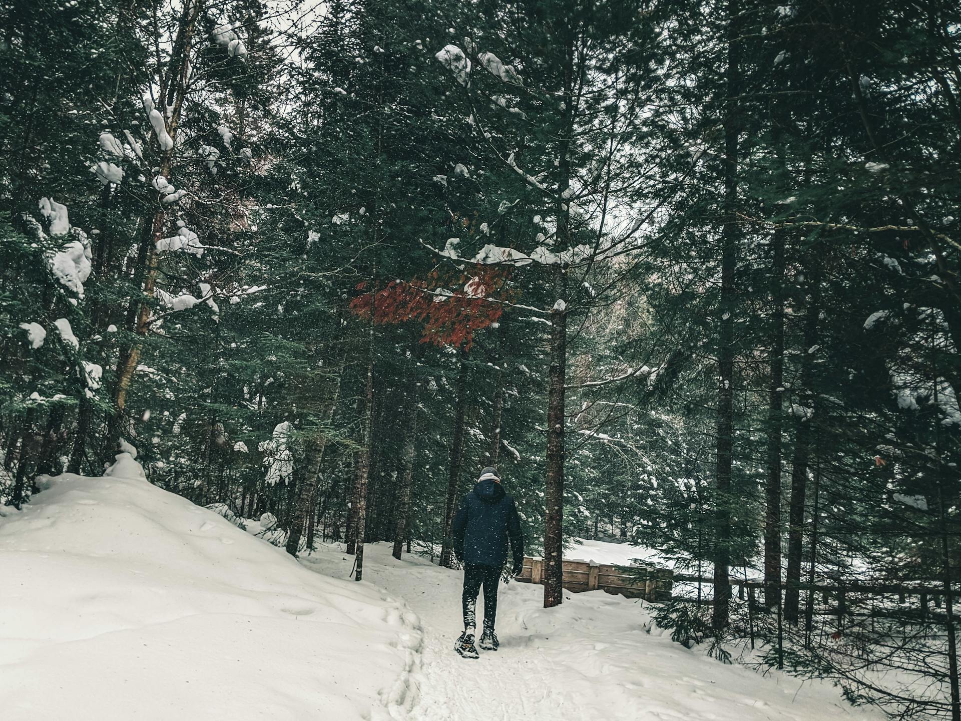 A person hiking through a snow-covered forest path in Canada on a winter day.