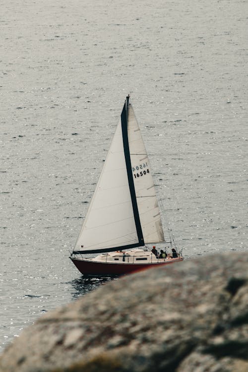 돛단배, 바다, 항해하는의 무료 스톡 사진