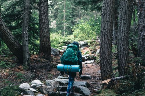 Free A backpacker hiking through a lush Canadian forest, showcasing outdoor adventure in nature. Stock Photo