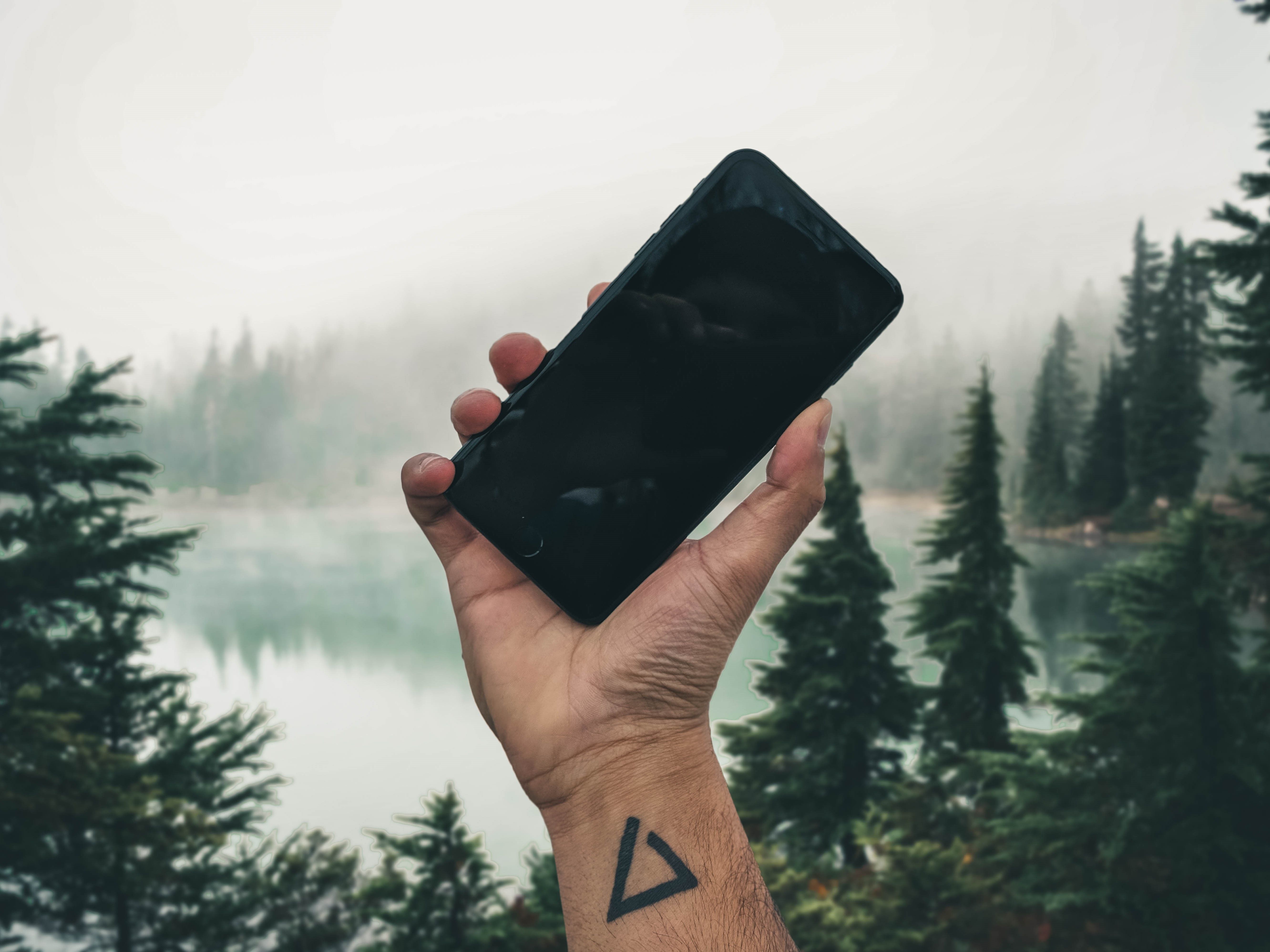 Hand with tattoo holding a smartphone in a misty forest. Capturing nature's essence through technology.