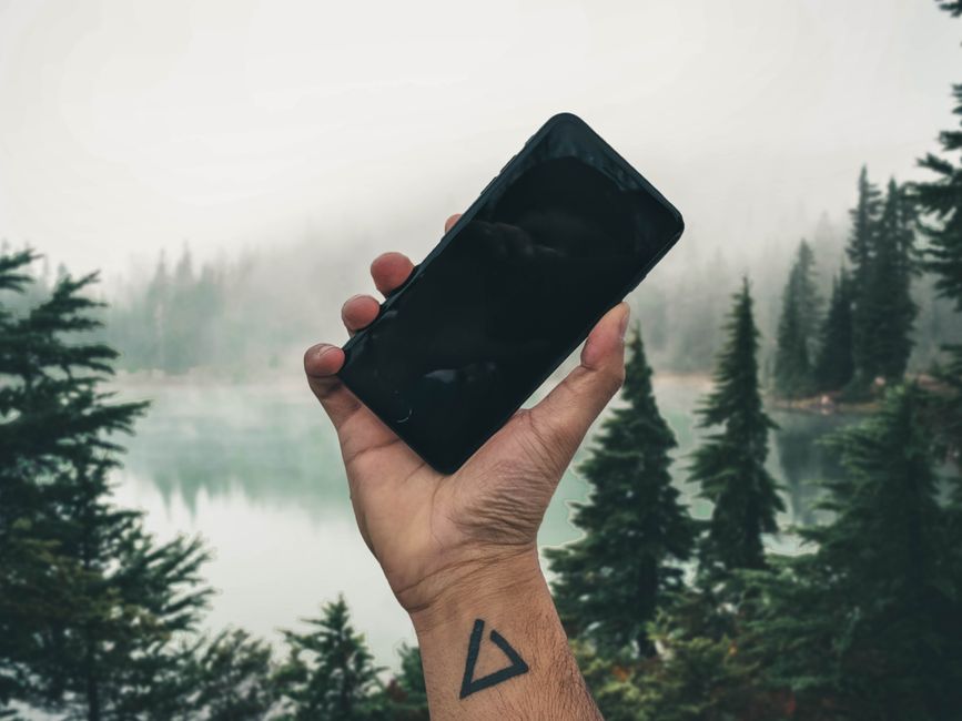 Hand with tattoo holding a smartphone in a misty forest. Capturing nature's essence through technology.