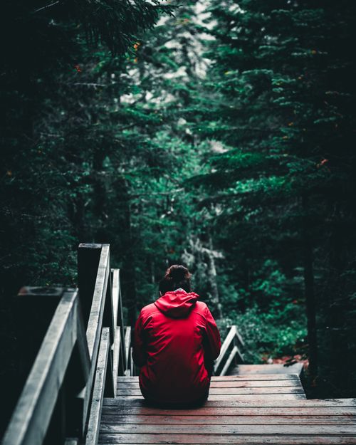 Free Back view of person in a red jacket sitting on wooden steps in a lush green forest in Canada. Stock Photo