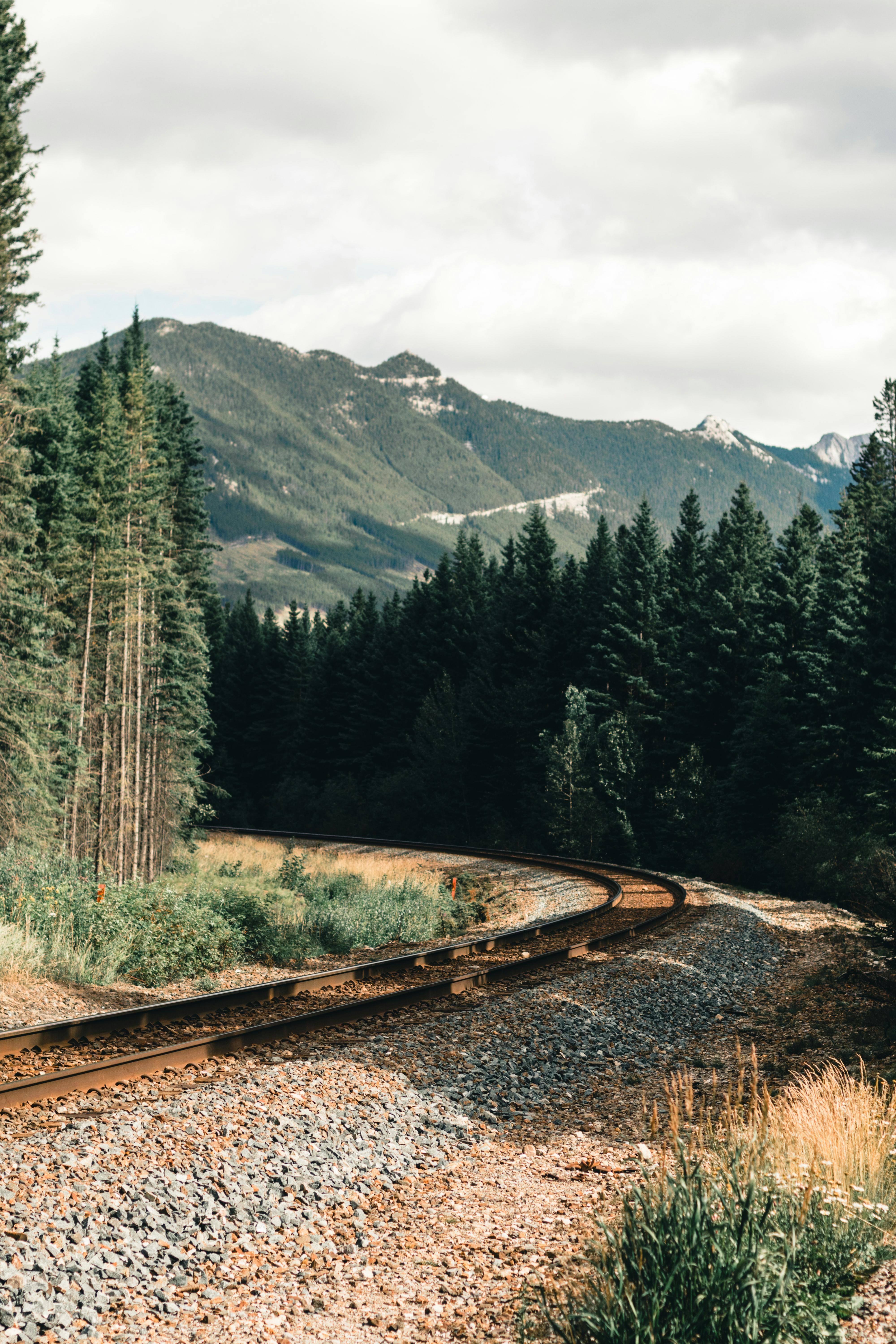 Rustic train tracks curve through lush Canadian forest with mountain backdrop.