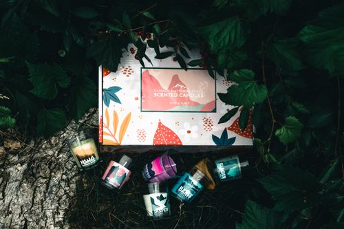 Free Scented candles inspired by Canadian National Parks surrounded by lush leaves. Stock Photo