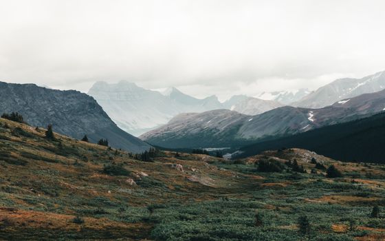 Serene view of misty rocky mountains in Canada with lush green valleys and dramatic skies.