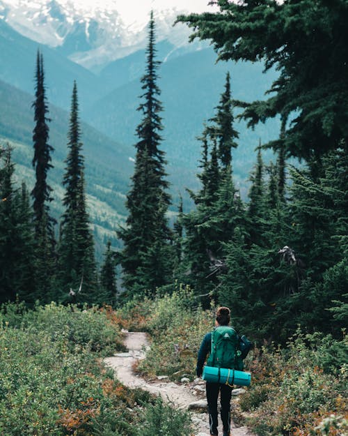 Backpacker Walking on Pathway