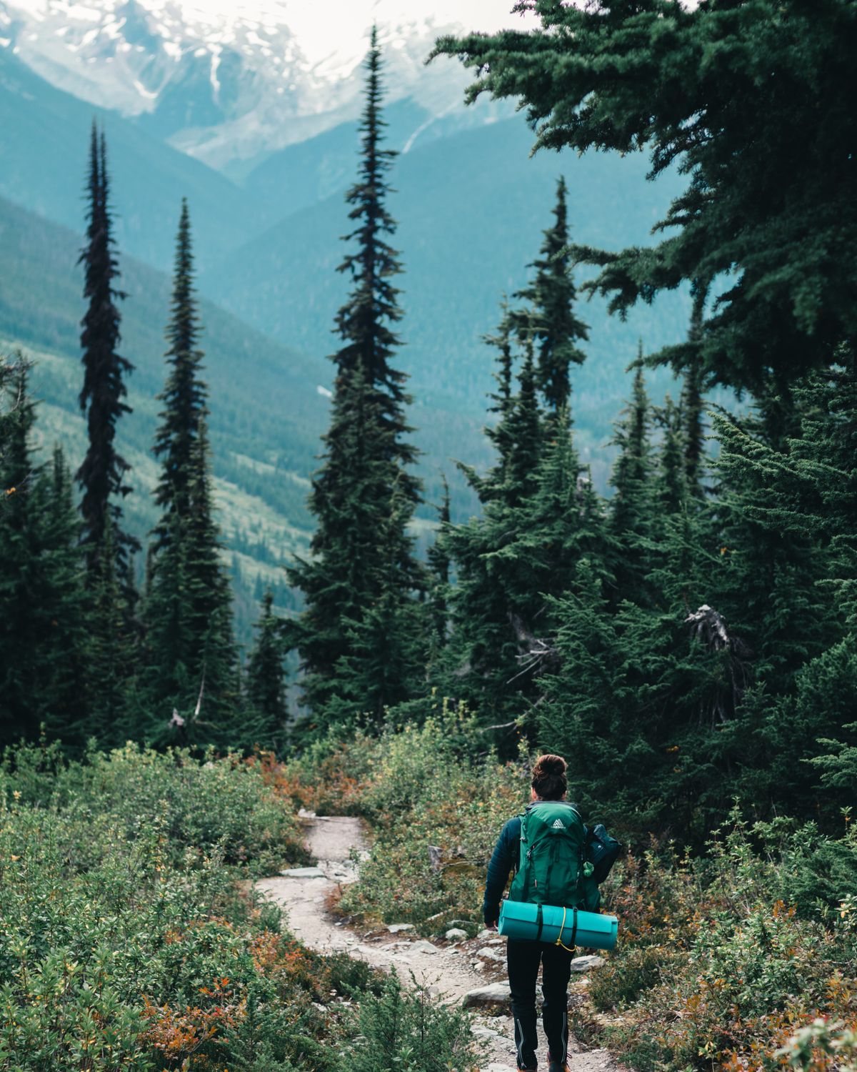 Lone hiker trekking through a forest trail with mountains visible in the distance Lone hiker trekking through a forest trail with mountains visible in the distance