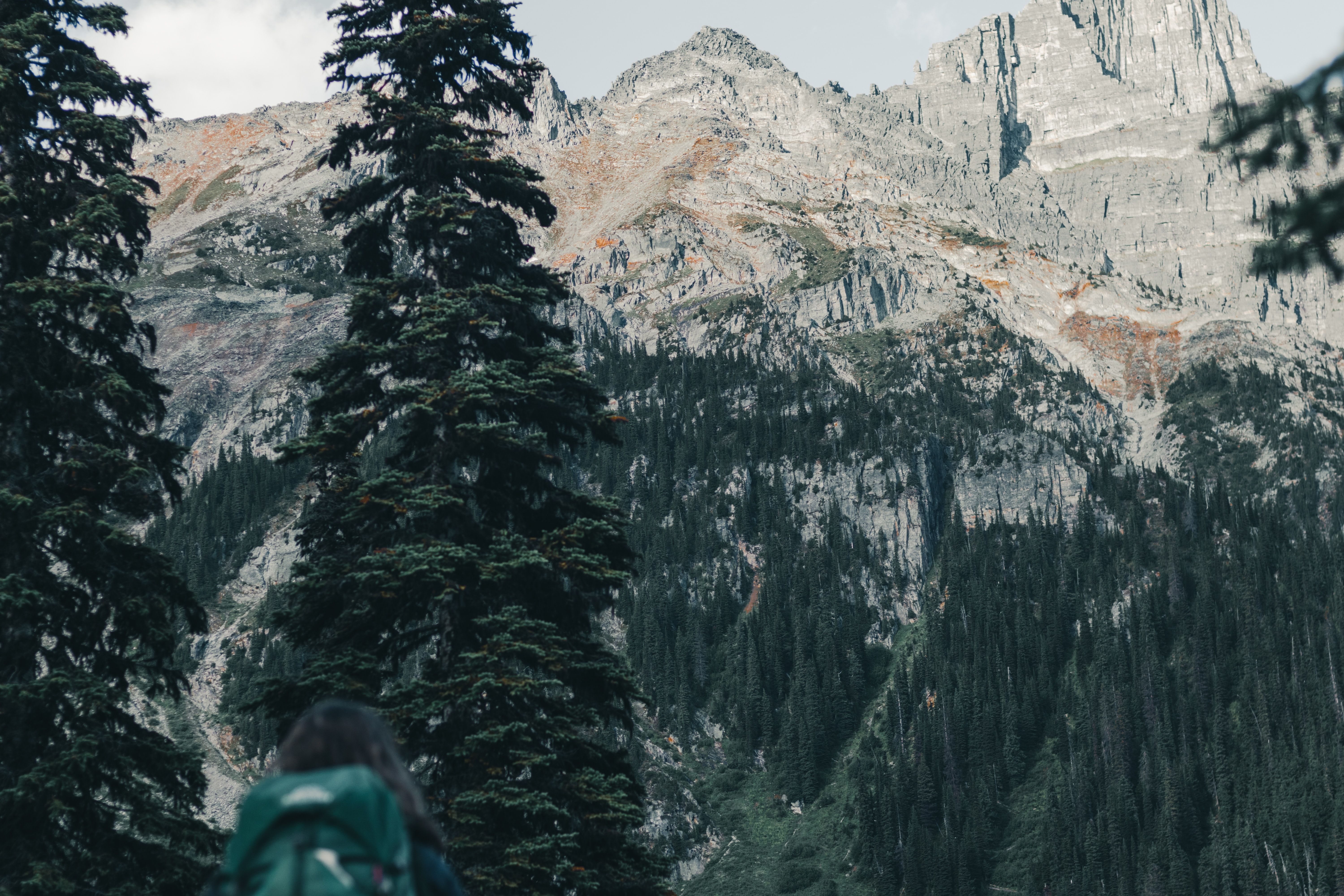 Columbia opens third outdoor fitness court at Rosewood Park — Photo by Ali Kazal on Pexels