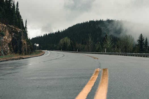 A serene curved road in Canada's misty mountains surrounded by green trees and fog.