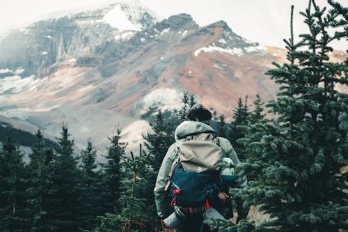 Free A Person in a Green Hoodie With a Backpack Near Mountains and Trees Stock Photo