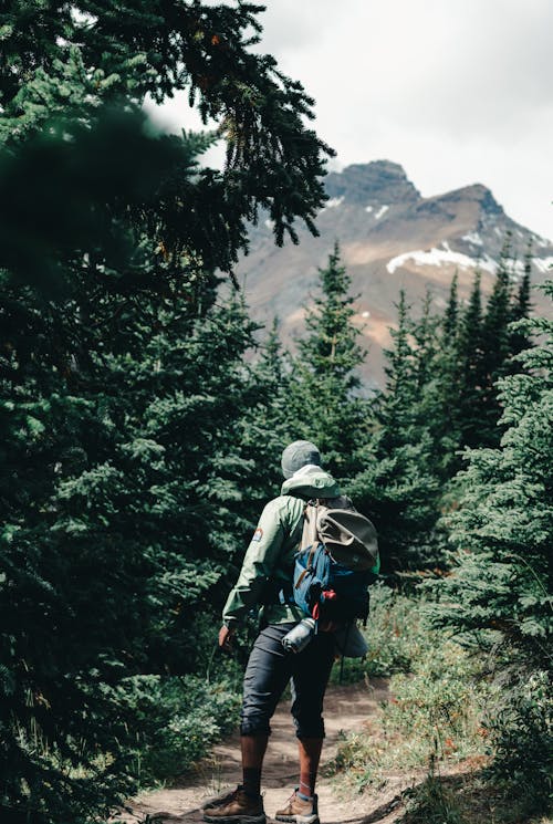 Free Man With Backpack Hiking  Stock Photo