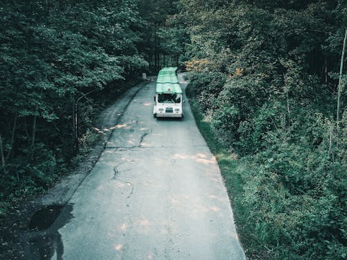 Bus on a Road in a Forest 