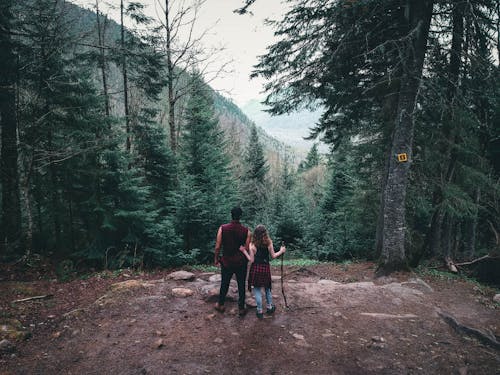 Free Backview of Couple standing near a Cliff in a Mountains Stock Photo