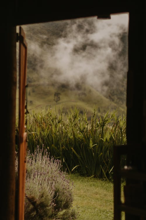 Foggy Mountain View Through an Opened Wooden Door