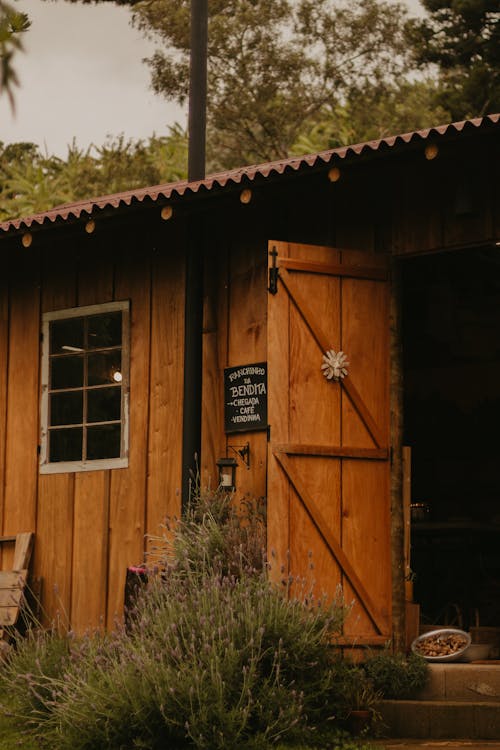 Wooden Bungalow with an Open Door in a Park