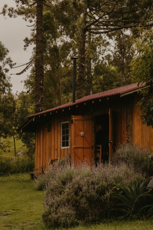 Free A rustic wooden cabin nestled in a lush forest with lavender plants in the foreground. Stock Photo