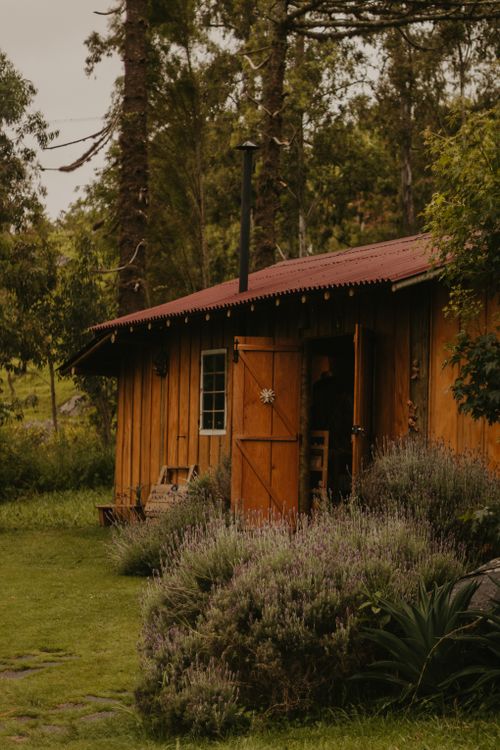 Free Charming wooden cabin nestled in a lush forest landscape, surrounded by greenery. Stock Photo
