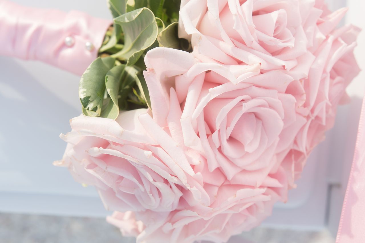 Close up of soft pink rose bouquet held by bride