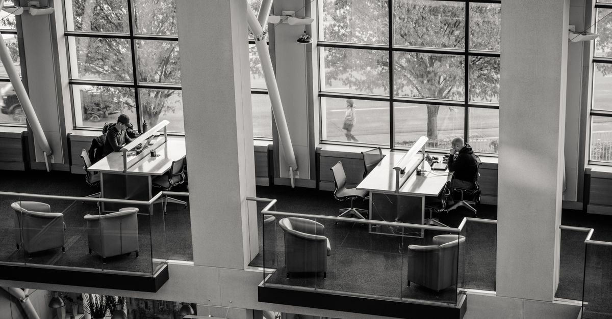 modern library with large windows and people studying