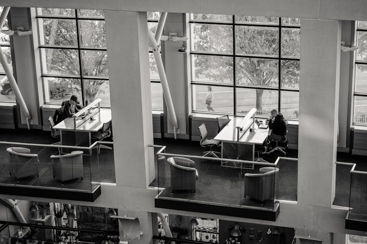 People Sitting In Modern Two Storey Library