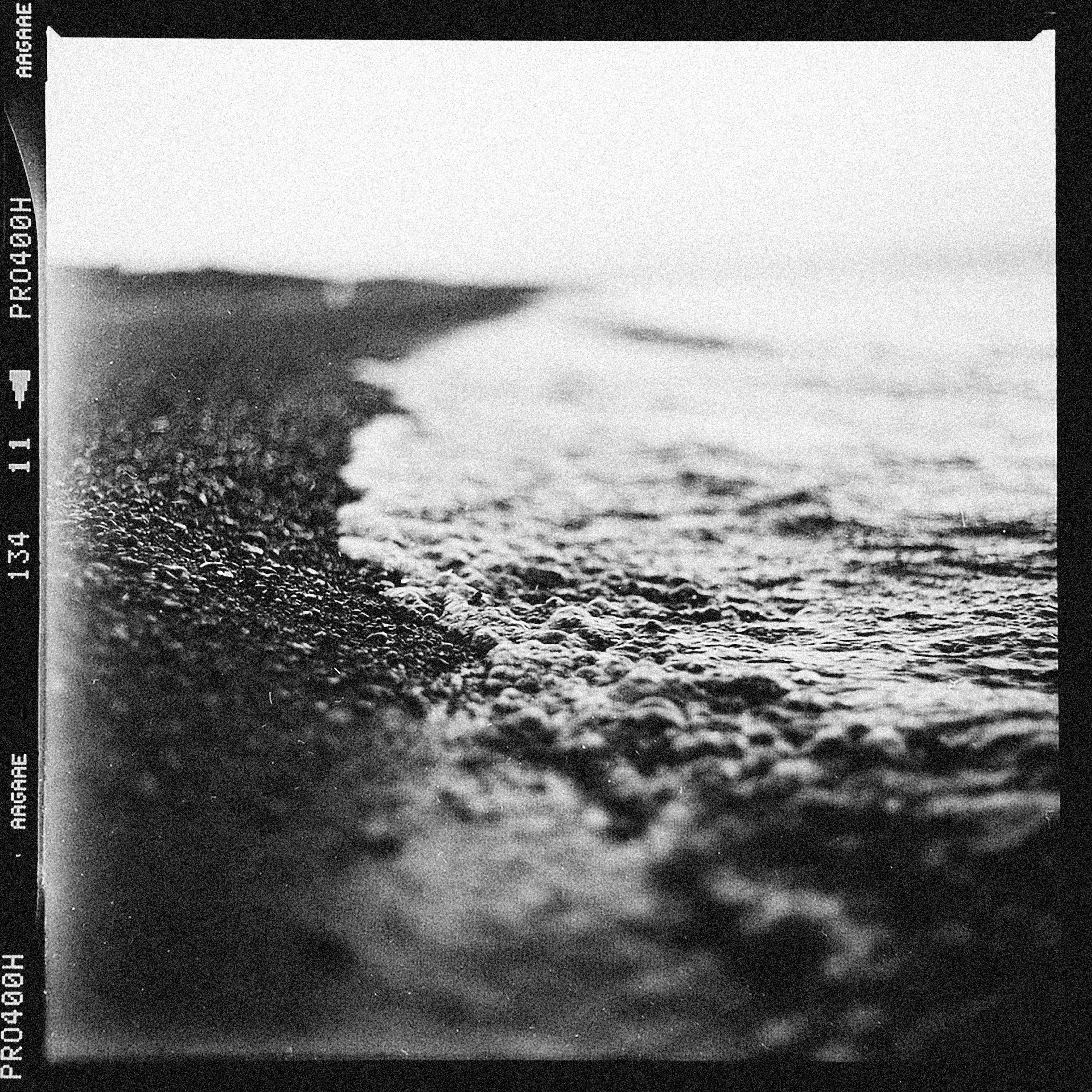 black and white shore