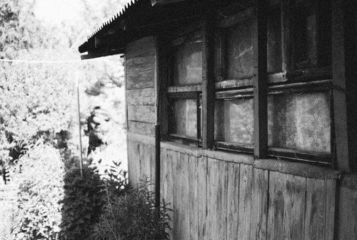 Free Grayscale photo of an old wooden house with overgrown plants and vintage windows. Stock Photo
