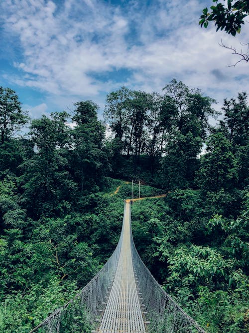 Free A Hanging Bridge on Green Mountain Stock Photo