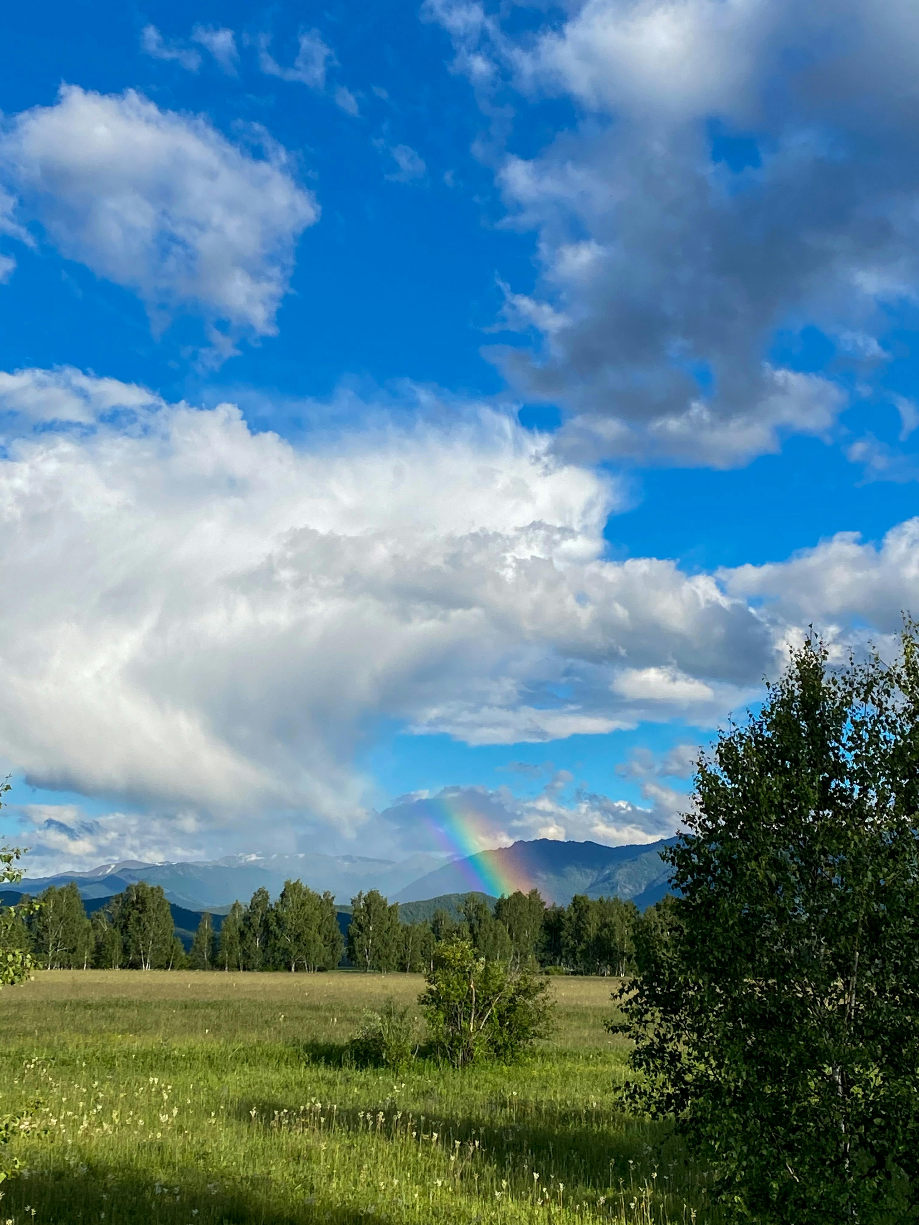 Free stock photo of altai, beautiful nature, bright Stock Photo
