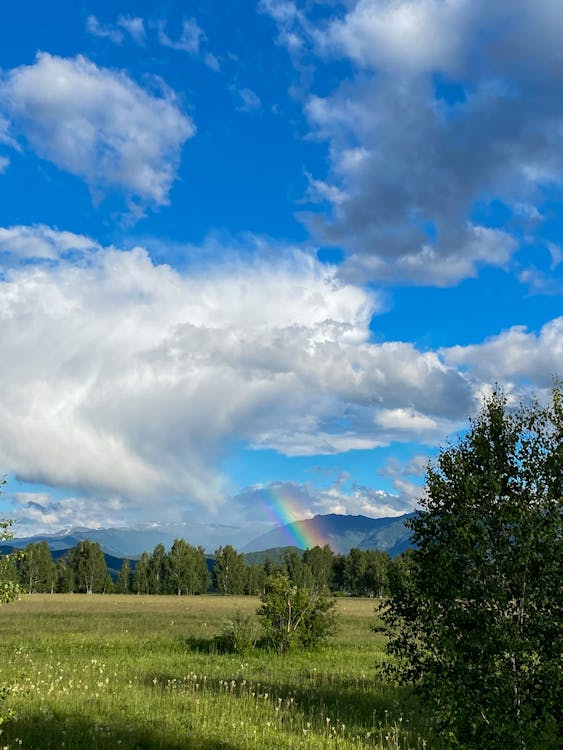 Free stock photo of altai, beautiful nature, bright Stock Photo