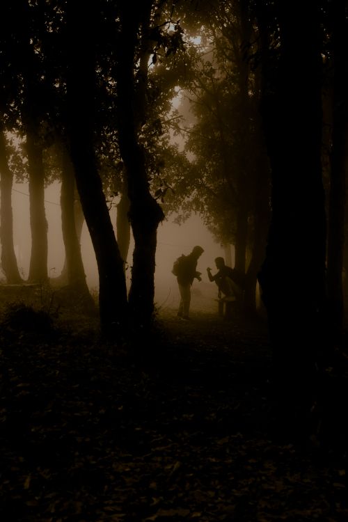 Free Silhouettes of two people in a misty forest in Lalitpur, Nepal. Stock Photo