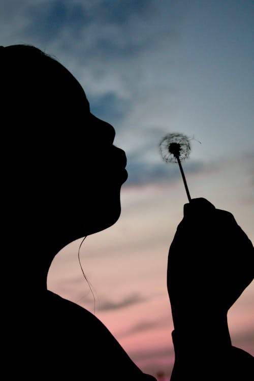 Silhouette of Person Blowing Dandelion 