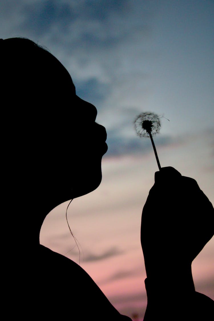 Silhouette Of Person Blowing Dandelion 