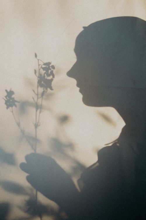 Free Profile shadow of a woman holding flowers, blending nature and human form in a gentle composition. Stock Photo