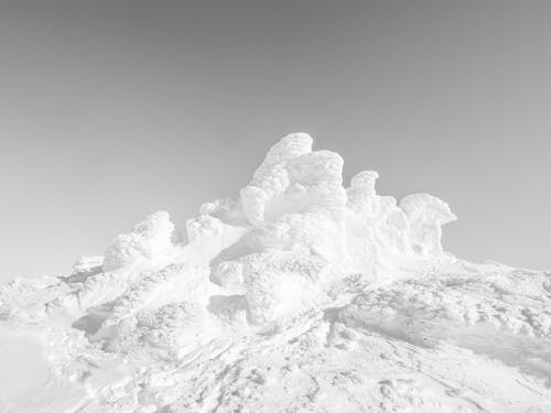 Darmowe zdjęcie z galerii z czarno-biały, lód, mrożony